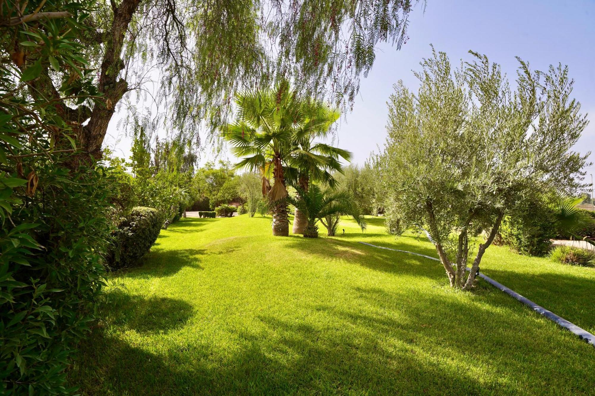 Ourika Camp Suites Hotel & Resort El Harkat Eksteriør bilde