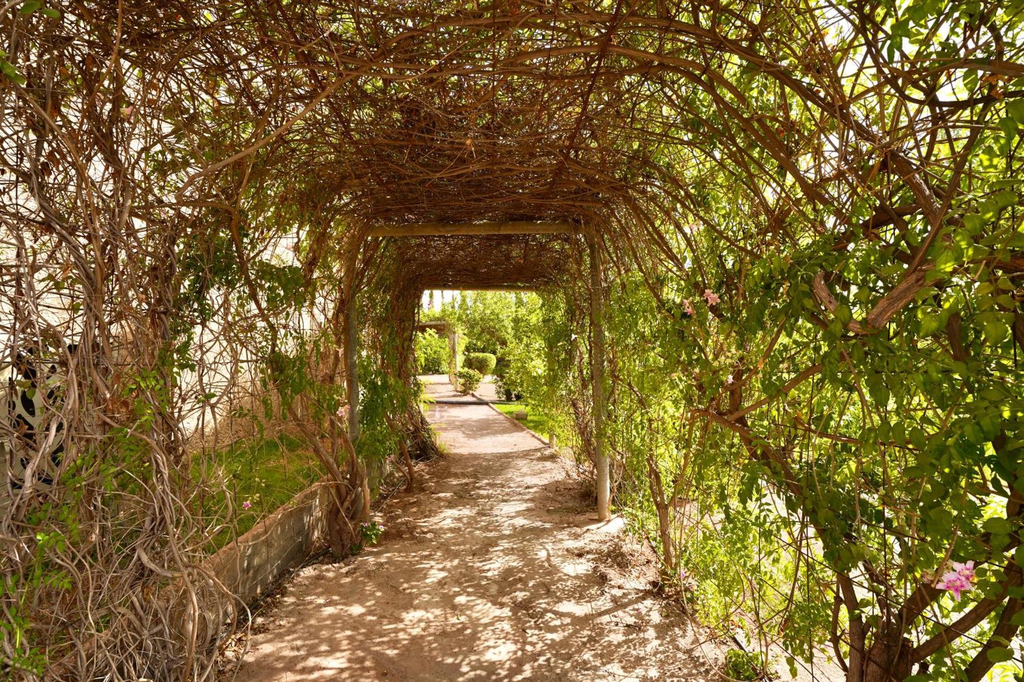 Ourika Camp Suites Hotel & Resort El Harkat Eksteriør bilde